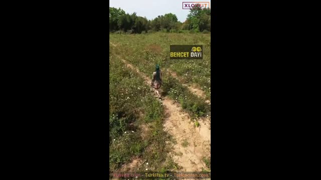 Dagda Dantel Elbiseli Kalça Sallama Gosterisi